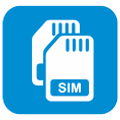 Dual Sim Logo
