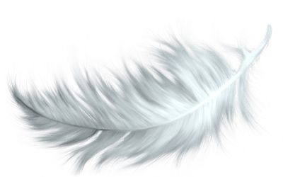 White Feather Image